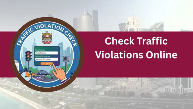 Check Traffic Violations Online