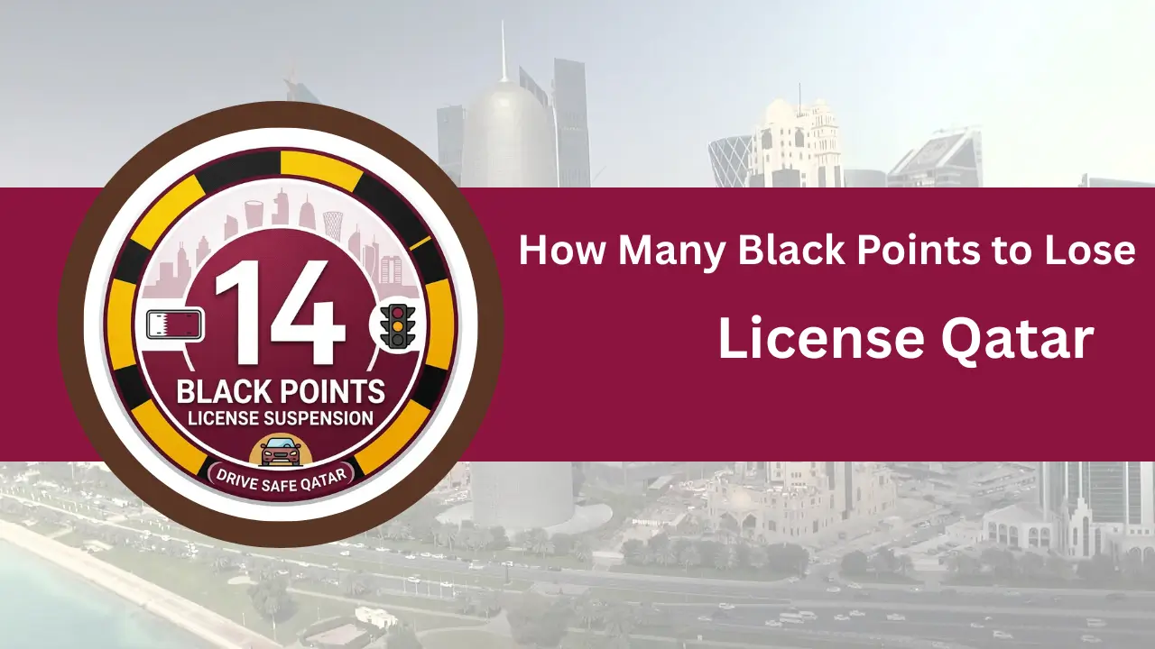 How Many Black Points to Lose License Qatar